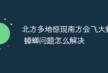 北方惊现会飞南方大蟑螂,如何解决?-路由网