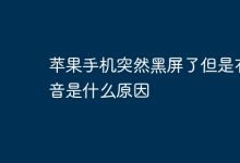 苹果手机黑屏有声音,是何故?-路由网