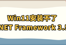 Win11装.NET 3.5失败?速看这解法!-路由网