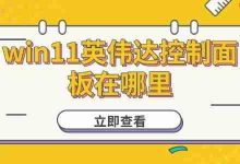 Win11中如何开启并设置英伟达面板?-路由网