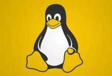 如何在Linux中配置Nginx反向代理?实现高性能负载均衡的详细步骤-路由网