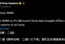 《使命召唤14:二战》因漏洞下架后重归-路由网