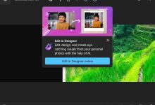 Win11 照片应用深度整合微软 Designer 工具:更多 AI 工具编辑照-路由网