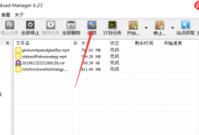 IDM看视频总弹下载框,咋解决?-路由网