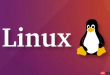 如何在Linux中查看命令历史?使用history命令查看历史操作记录-路由网