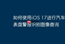 iOS 17如何进行车仪表警报图像查询?-路由网