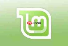 Linux Mint 19体验学习笔记-路由网