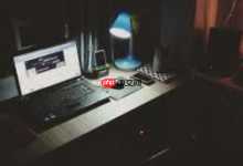 Windows不能播OGG?安装播放器轻松解决!-路由网