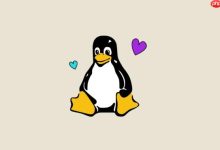 为什么Linux关机需要等待一段时间?解析关机命令的后台进程处理机制-路由网