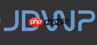 Java远程调试(Remote Debugging)的那些事-路由网