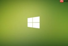 win8如何清理dns缓存_win8刷新和清除DNS缓存命令-路由网