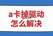 更新显卡驱动或回退旧版驱动-路由网