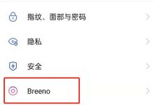 OPPO手机如何设置雪花特效教程-路由网