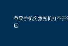苹果手机死机难启,或因系统软件冲突-路由网