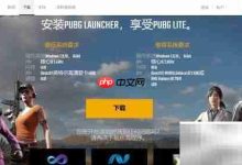 《速览!PUBG Lite下载全流程指南》-路由网