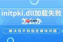 initpki.dll加载失败?重安或修复DLL试试-路由网