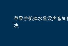苹果手机落水无声?试试这几招解决!-路由网