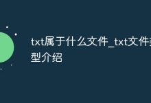 TXT文件:纯文本格式,通用易读-路由网