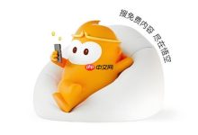 悟空浏览器海外版官网直通入口-路由网