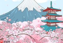 樱花官网首页入口在哪,如何快速访问?-路由网