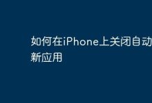 iPhone如何手动禁用应用自动更新?-路由网