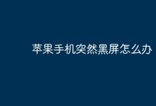 苹果手机黑屏莫慌,试试这些解决方法!-路由网