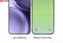 vivo X300 Pro与iPhone 16 Pro Max对比图现-路由网