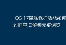 iOS 17:面容ID解锁无痕浏览护隐私-路由网