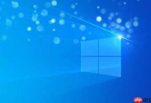 win11怎么显示隐藏的文件和文件夹_win11显示隐藏文件设置教程-路由网