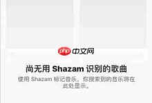 Shazam底部麦克风,一键开启识别!-路由网