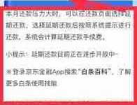 京东金融延期还款,如何申请?-路由网