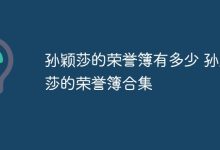 孙颖莎荣誉簿:璀璨成就精彩集锦-路由网