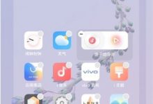 iQOO Neo5原子组件设置,几步轻松搞定-路由网