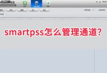 SmartPSS中如何高效管理各通道-路由网