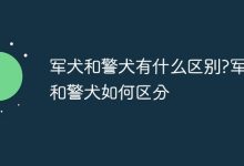 军犬主战辅军,警犬重治安巡防-路由网