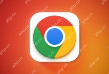 清谷歌缓存后登录状态丢失咋解决?-路由网