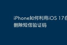 iOS 17助iPhone自动清除短信验证码-路由网