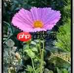 iPhone17ProMax如何用图查图中信息?-路由网