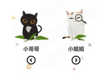 喵趣漫画正版入口,网页实时追更提醒-路由网