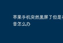 苹果黑屏有声响,应急处理办法来啦!-路由网
