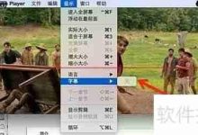 射手播放器:一键自动精准匹配字幕-路由网