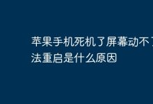 苹果手机死机屏不动,无法重启是何因?-路由网