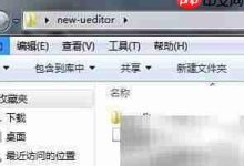UEditor WP版,原创内容高效改写-路由网
