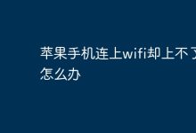 苹果手机连WiFi后无法上网咋解决?-路由网
