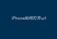 iPhone中,用Safari浏览器打开URL-路由网