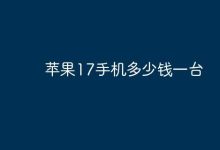 苹果17手机一台售价为多少元?-路由网