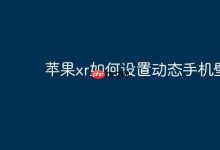 苹果XR如何操作设置动态壁纸?-路由网