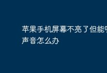 苹果屏幕不亮有声响,该如何解决?-路由网