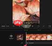 快影APP内选歌词功能,手动编辑添加。-路由网