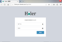 使用Holer服务端软件搭建属于自己的内网穿透-路由网